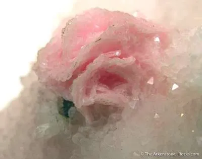 Rhodochrosite on Quartz - image 2