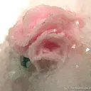 Rhodochrosite on Quartz - image 2