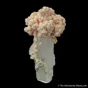 Rhodochrosite on Quartz - image 1