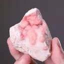 Rhodochrosite on Quartz - image 2