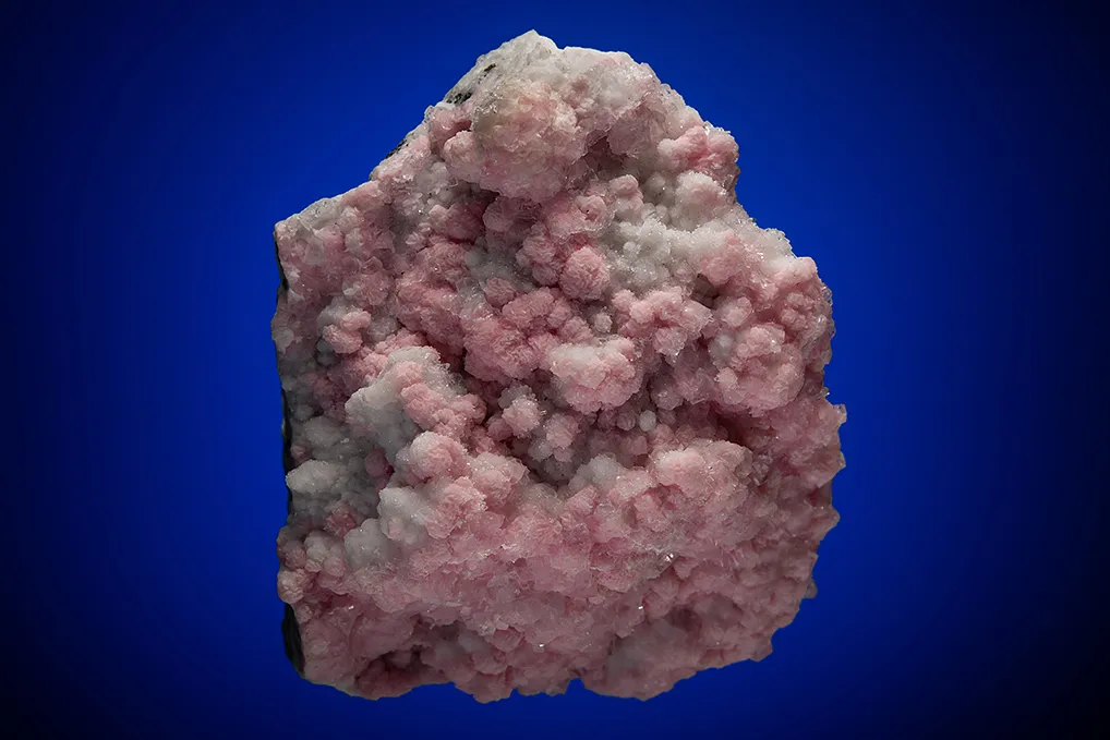 Rhodochrosite on Quartz image