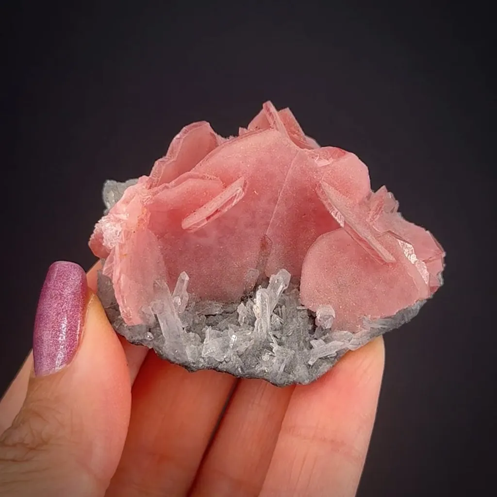 Rhodochrosite on Quartz image