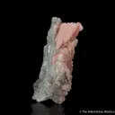 Rhodochrosite on Quartz - image 6