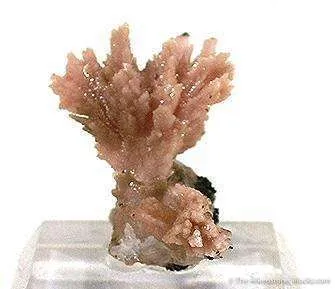 Rhodochrosite on Quartz image
