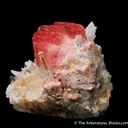 Rhodochrosite on Quartz - image 8