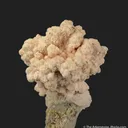 Rhodochrosite on Quartz - image 2