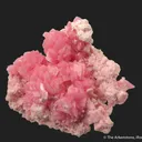 Rhodochrosite on Rhodochrosite - image 1