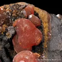 Rhodochrosite on Rhodochrosite - image 4