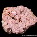 Rhodochrosite on Siderite - image 4