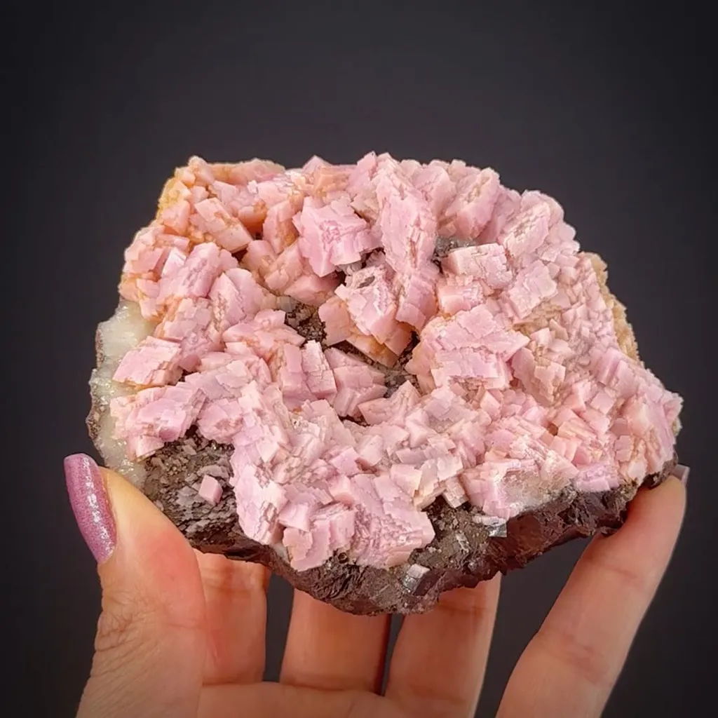 Rhodochrosite on Siderite image