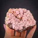 Rhodochrosite on Siderite - image 1