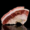 Rhodochrosite (polished) - image 1