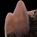 Rhodochrosite ps. Calcite - image 7