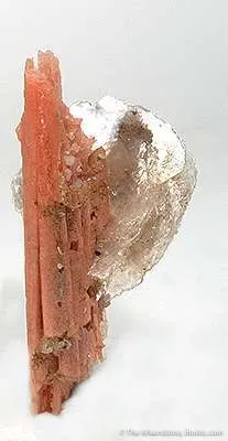 Rhodochrosite Ps. Serandite With Polylithionite image
