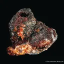 Rhodochrosite ps. Sturmanite - image 5