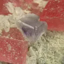 Rhodochrosite, Pyrite, Fluorite, Quartz - image 3