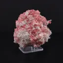 Rhodochrosite, Quartz - image 2