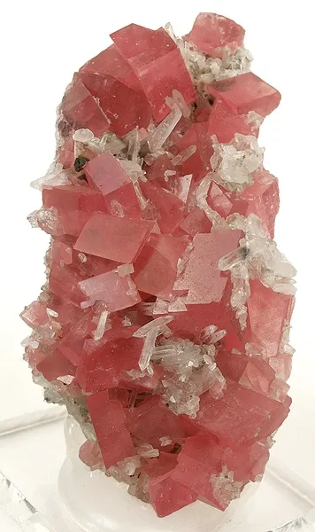 Rhodochrosite, Quartz image