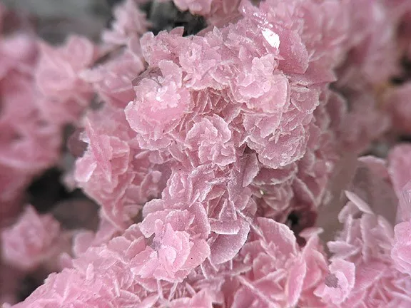 Rhodochrosite, Quartz - image 2