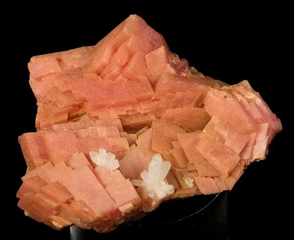 Rhodochrosite, Quartz image