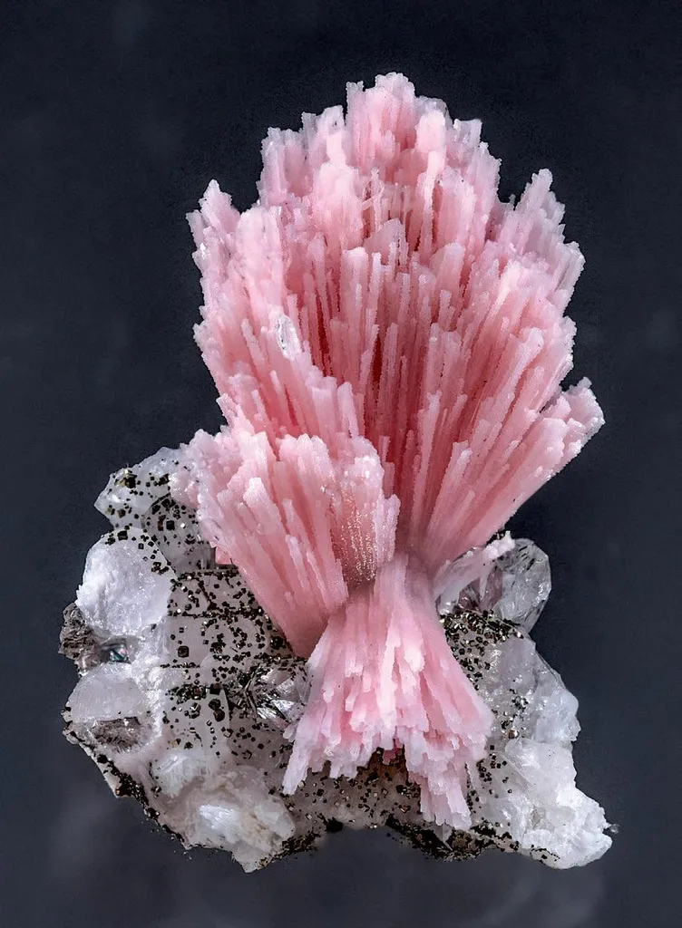 Rhodochrosite, Quartz, Calcite, Pyrite image