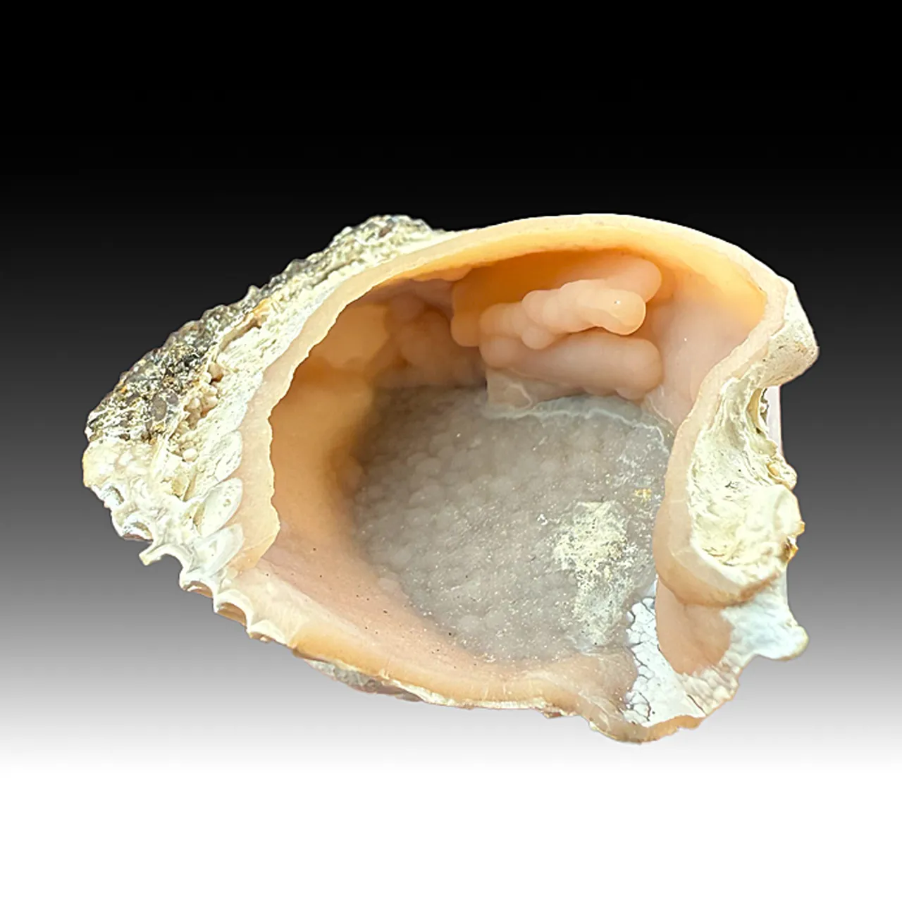 Rhodochrosite replacing Shell - image 1