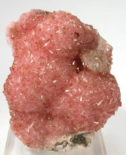 Rhodochrosite, Shigaite image