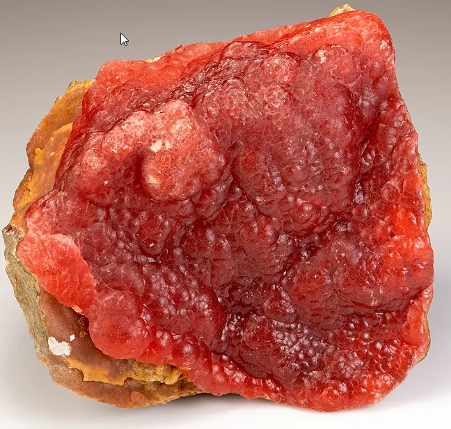 Rhodochrosite, thick boytryoidal layer, approximately 0.5 cm thick on host rock image