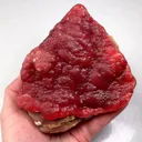 specimen video