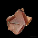 Rhodochrosite (Twin) - image 1
