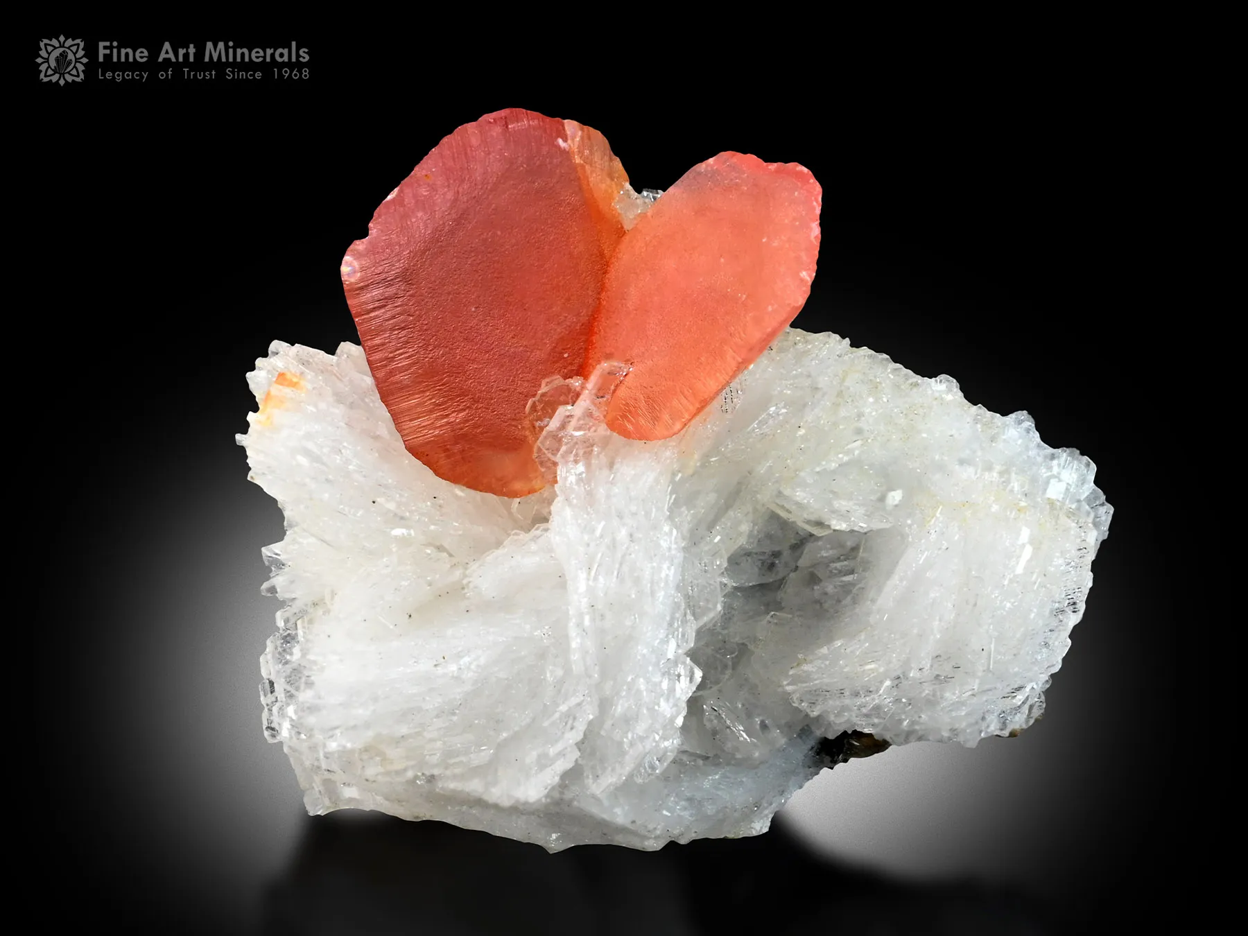 Rhodochrosite with Albite from Pakistan - image 1