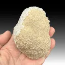 Rhodochrosite with Calcite - image 1