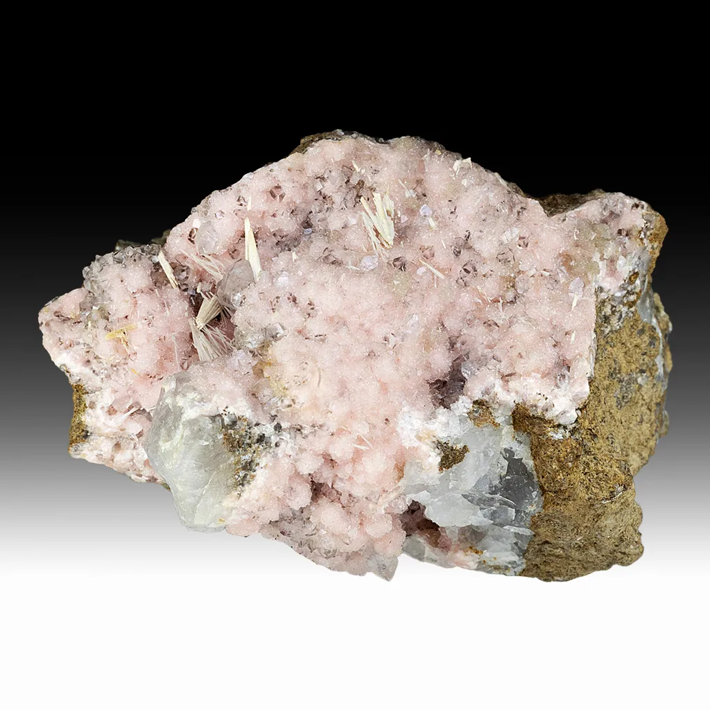 Rhodochrosite with Cerussite, Quartz (ex Joseph Neeld circa 1840) image