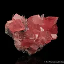 Rhodochrosite with Fluorite and Quartz - image 3