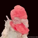 Rhodochrosite with Fluorite and Quartz - image 1
