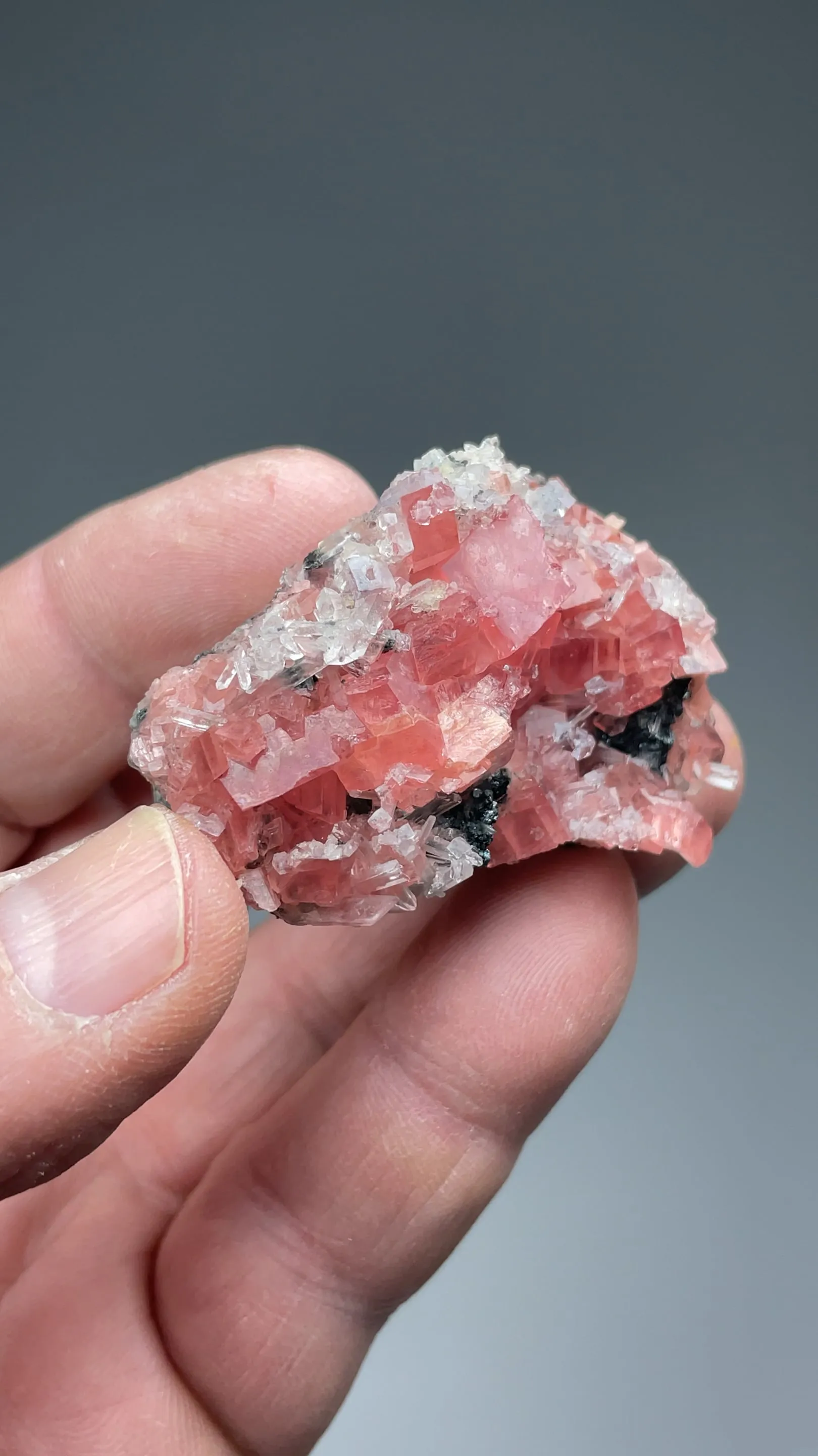Rhodochrosite with Fluorite, Quartz - image 2