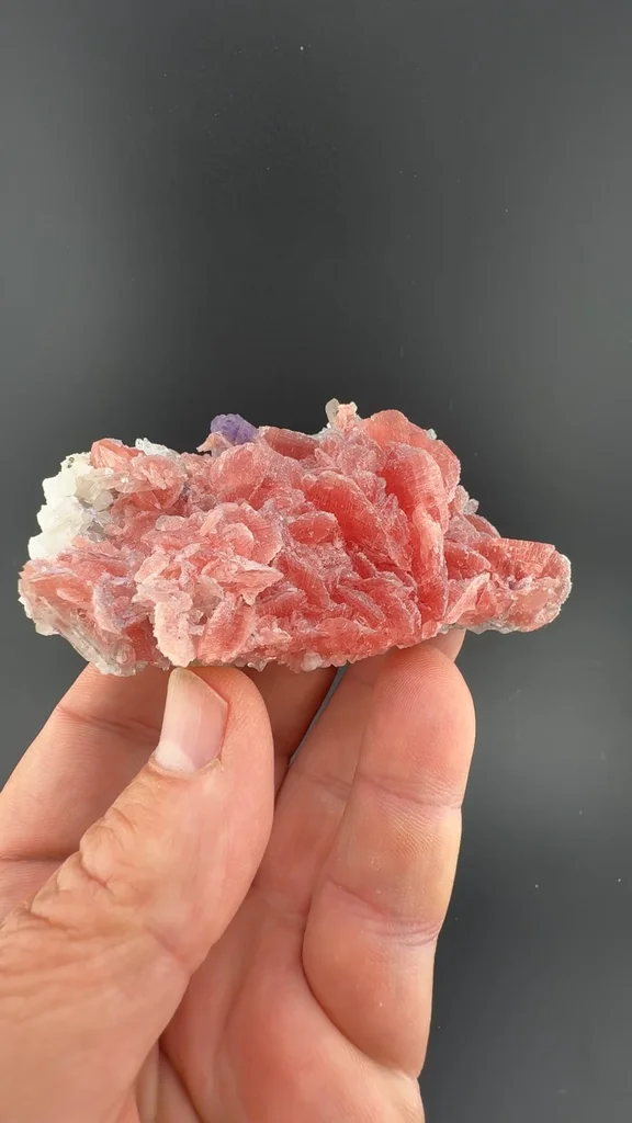 Rhodochrosite with Fluorite, Quartz image
