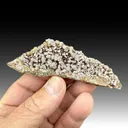 Rhodochrosite with Hisingerite-Neotocite - image 1