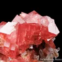 Rhodochrosite with Hübnerite and Fluorite on Quartz - image 7