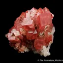 Rhodochrosite with Hübnerite and Fluorite on Quartz - image 6
