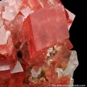 Rhodochrosite with Hübnerite and Fluorite on Quartz - image 8