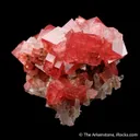 Rhodochrosite with Hübnerite and Fluorite on Quartz - image 4