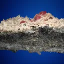 Rhodochrosite with Hübnerite and Quartz - image 5