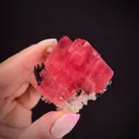 Rhodochrosite with Hubnerite, Quartz, Apatite - image 2