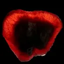 Rhodochrosite with Manganite - image 2