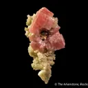 Rhodochrosite with Muscovite - image 4