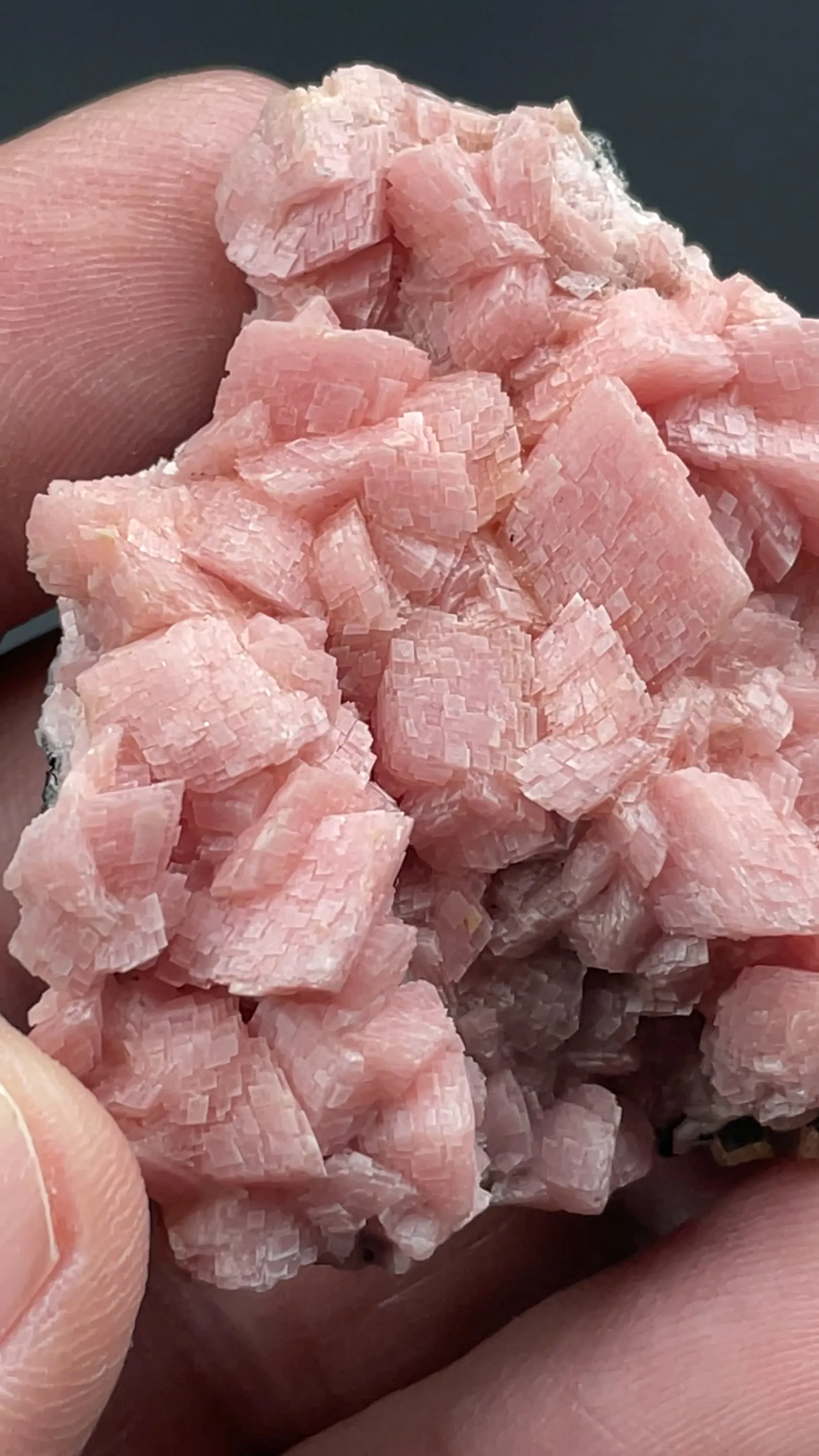 Rhodochrosite with Pyrite, Galena, Sphalerite - image 2