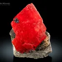 Rhodochrosite with Pyrite on Matrix from USA - image 1