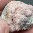 Rhodochrosite with Quartz - image 2