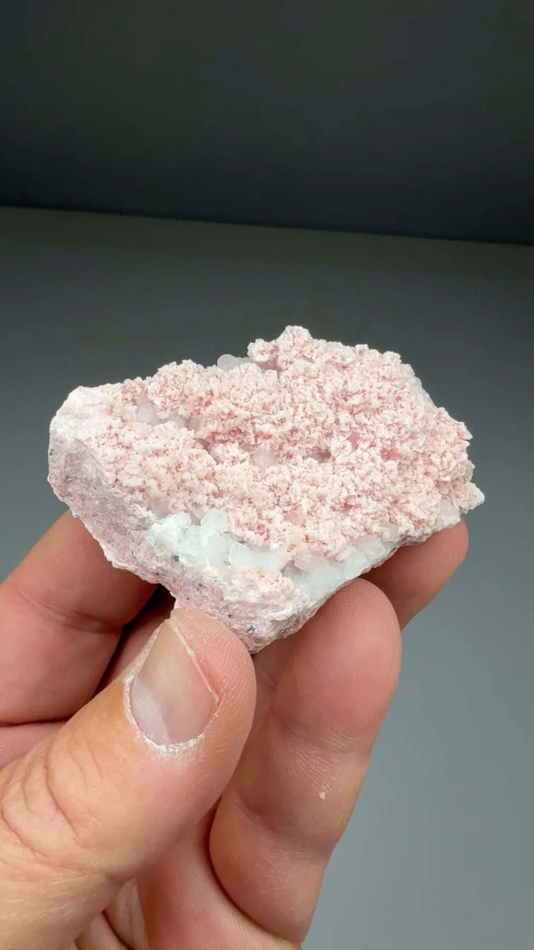 Rhodochrosite with Quartz - image 2